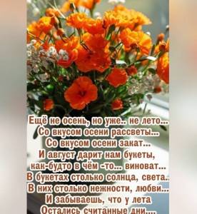 IMG-20250822-WA0006.jpg