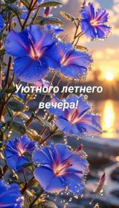 IMG-20250825-WA0006.jpg