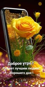 IMG-20250826-WA0000.jpg