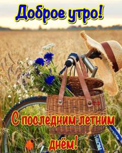 IMG-20250831-WA0000.thumb.jpg.cb0f0074bfd5eb4eb2f41be33f161c60.jpg
