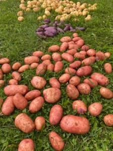 IMG_0541.jpeg