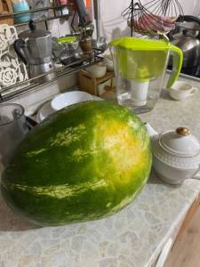 IMG_0548.jpeg