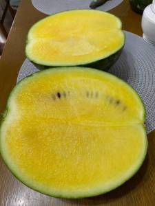 IMG_0558.jpeg