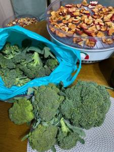 IMG_0559.jpeg