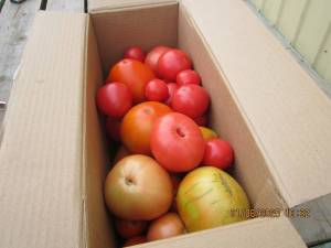 IMG_0866.thumb.JPG.eb2202a424c432c64c60ce1ced149b90.JPG