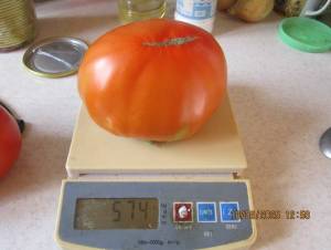IMG_0910.thumb.JPG.c5dd913ba369a7dc1801862d532a613d.JPG
