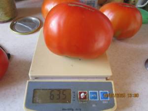 IMG_0912.thumb.JPG.696e0a00ebdec1732cdbcd2e145d9f6d.JPG