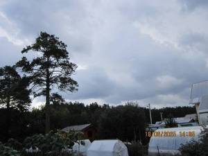 IMG_0914.thumb.JPG.f9b796347d466b8d8f20ac536e420fe5.JPG