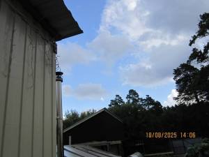 IMG_0915.thumb.JPG.82401b1c608a8c3686b034e2b21c42ee.JPG
