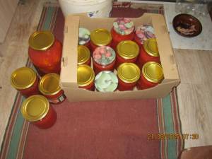 IMG_0938.thumb.JPG.85592eb3b4b2b67cb4d8b8a0cc4e529c.JPG