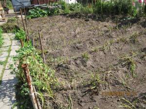 IMG_0940.thumb.JPG.45ea63f5b08c3c159a6592825a56a3d6.JPG