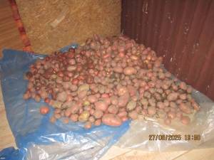 IMG_0972.thumb.JPG.ef53cff3fd4d2b0618647e6052ea5e4a.JPG