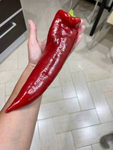 IMG_1517.jpeg