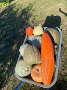 IMG_1566.thumb.jpeg.be9344280baacf2c40139e72b90d4a22.jpeg