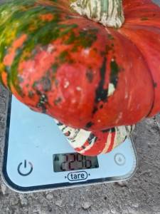 IMG_1592.jpeg