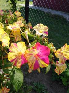 IMG_20230826_092458.jpg