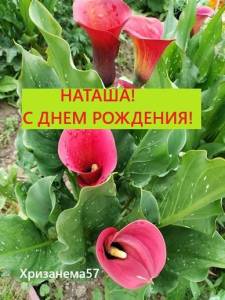 IMG_20240718_102641.thumb.jpg.18a1155869f8f808cd24bd0d057e0e22.jpg