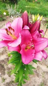 IMG_20250728_175142.jpg