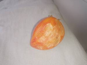IMG_20250801_164528.thumb.jpg.3edfe9151d232daab01a6722691c03bd.jpg