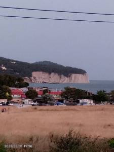 IMG_20250801_195659_499.jpg