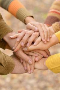 IMG_20250802_191716_270.thumb.jpg.58aaaa1bd39073c7938aebb346387c77.jpg