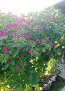 IMG_20250802_211734.jpg