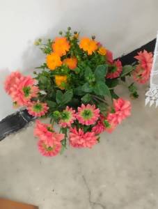 IMG_20250803_121049.jpg