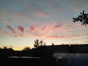 IMG_20250803_204856.jpg
