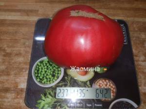 IMG_20250803_230819.thumb.jpg.d29ce91ec9b5d1efa31c7944db775be5.jpg