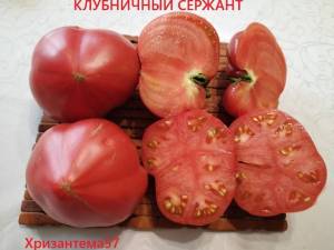 IMG_20250804_091136.thumb.jpg.ea26c261e1006678acecf72d3c4bb774.jpg
