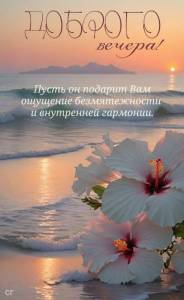 IMG_20250805_183752_481.thumb.jpg.47b7c0d03e16ead212fd7841393f5570.jpg