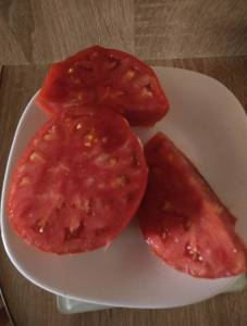 IMG_20250806_174847.jpg