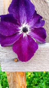 IMG_20250806_185104.jpg