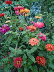 IMG_20250806_203655.thumb.jpg.bc8e46a5cb54525c6e470224f54dfe12.jpg