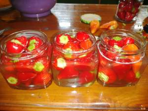 IMG_20250807_144431.thumb.jpg.73198e40581ebe8f7e893e227c663ffe.jpg