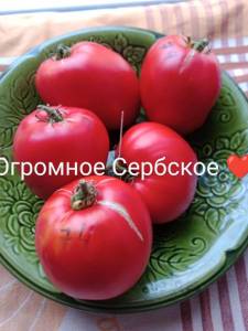 IMG_20250807_185020_265.jpg