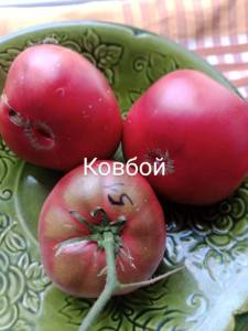 IMG_20250807_185026_077.jpg