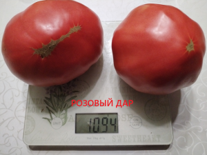 IMG_20250808_213134.thumb.png.fdfa8972f14bc7eb8dfda40c28117c35.png