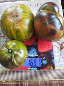 IMG_20250809_131135.thumb.jpg.2ea6942b9e3ede65ecab5cff40362bbb.jpg