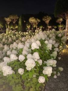 IMG_20250809_170206_102.thumb.jpg.830cd2a77b249b8cde4df08a28385acb.jpg