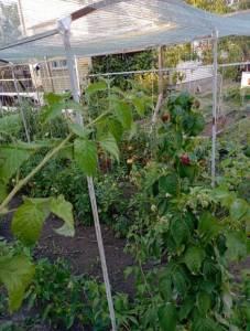 IMG_20250809_184222.jpg