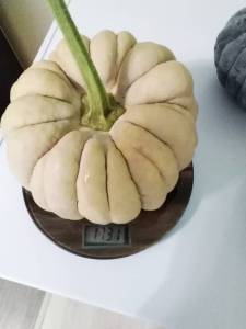 IMG_20250810_103136.jpg