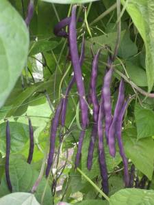 IMG_20250810_132436.jpg