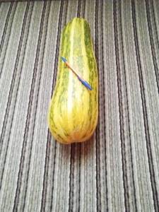IMG_20250810_173825.jpg