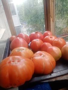IMG_20250810_175156.jpg