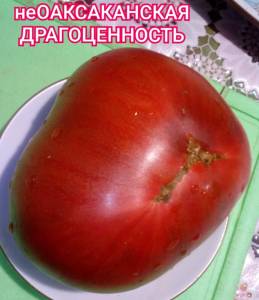 IMG_20250811_003147.thumb.jpg.8b9405cc1cd36d43f45abad94251cdb8.jpg