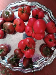IMG_20250811_175331_512.jpg
