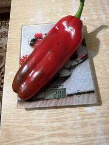 IMG_20250811_205241.jpg