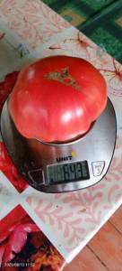 IMG_20250812_115213_058.thumb.jpg.219eb2ea46e378ea245dab33ceea3308.jpg