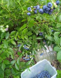 IMG_20250812_133954.jpg